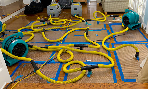 Professional Structural Drying And Dehumidification technician working in Citrus Heights, CA